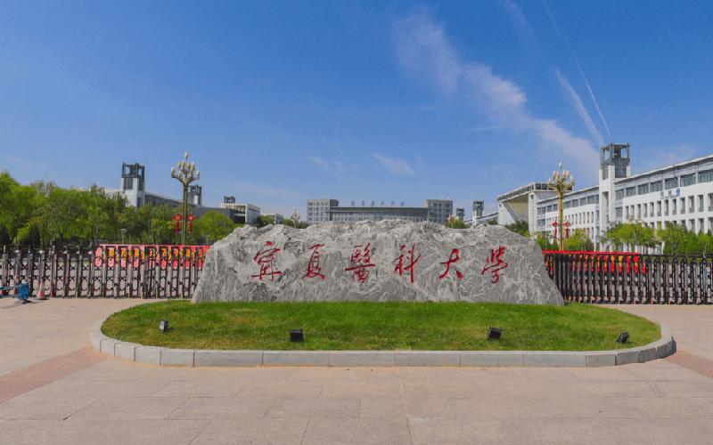 宁夏，历史长河中的现代篇章